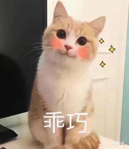 对比鼻基底对面部的影响有多大?
