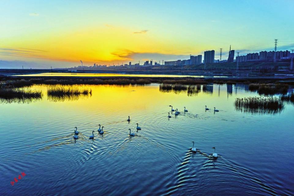 空气|山西“春节蓝”，又一张幸福名片！虎年春节期间空气质量为近年同期最好