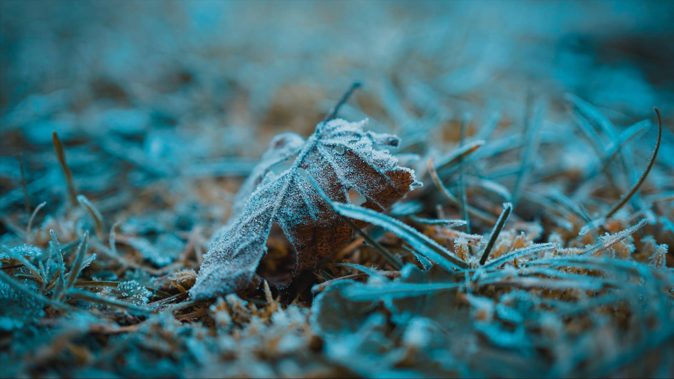 百毒不侵,城府颇深的星座,习惯了自我隐藏,也很清醒自己要什么_天蝎座