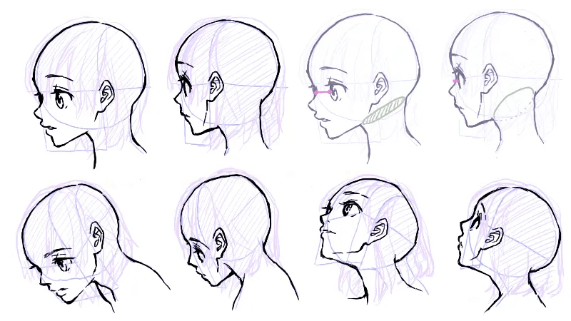 總畫不好漫畫人物的側臉?你需要補補這些知識_五官_臉部_頭部