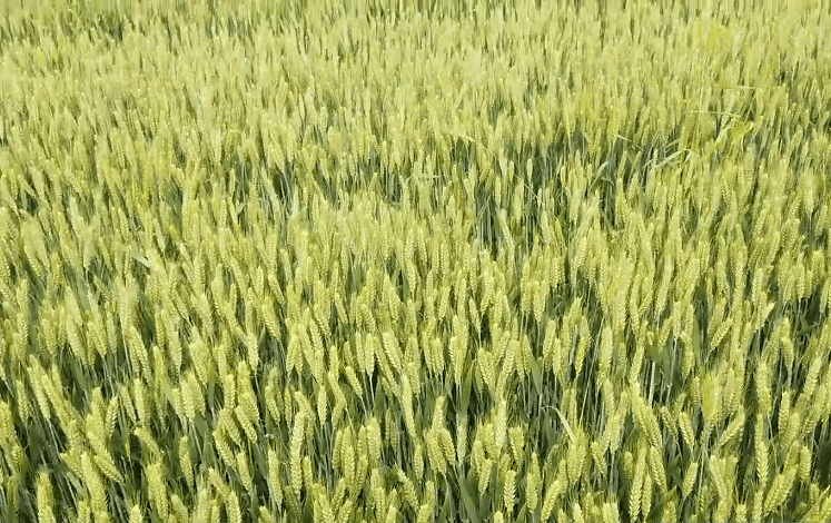 d7c770e178944d7c8a84928307492716.png