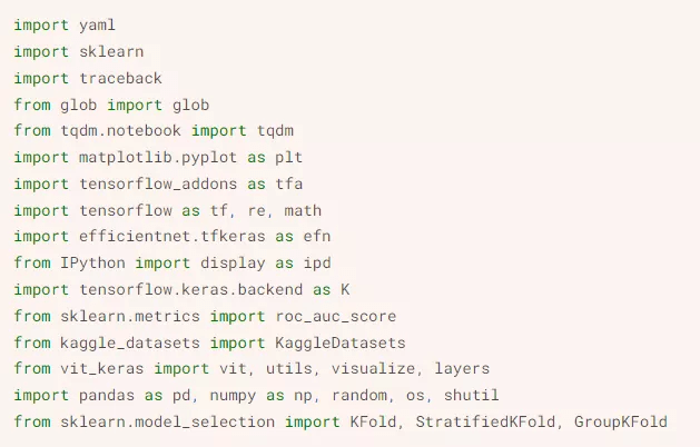 Yam|训练2021年每个SOTA模型,他的「核武」策略意外收获Kaggle银牌