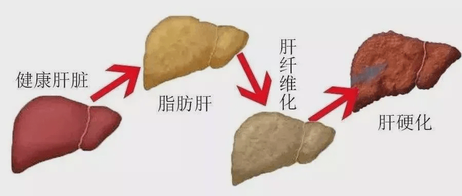 龙昌品牌蛋 | 减少鸡蛋的容貌焦虑