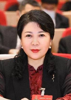 杨莹代表:用法治让民营企业安心定心_发展_保障_海南