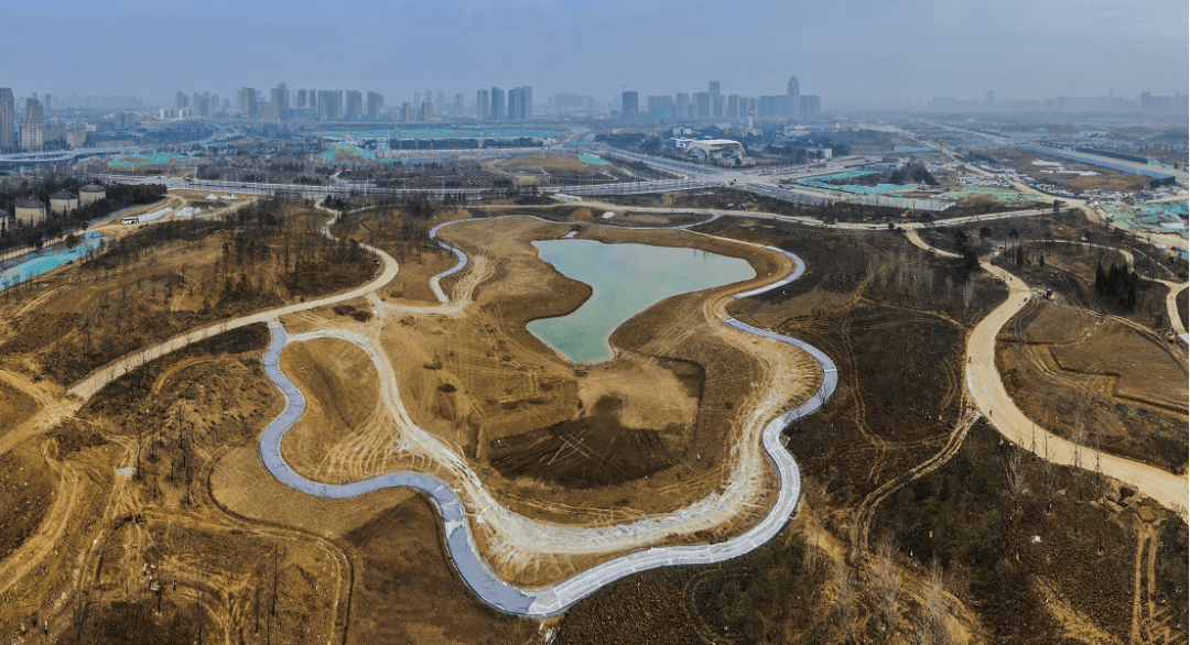 原创合肥冰雪运动中心正式启动建设骆岗生态公园再迎重磅利好