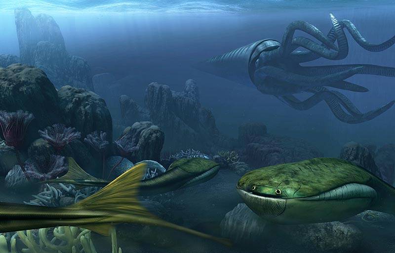 44亿年前奥陶纪生物大辐射巨壳支配下的海洋