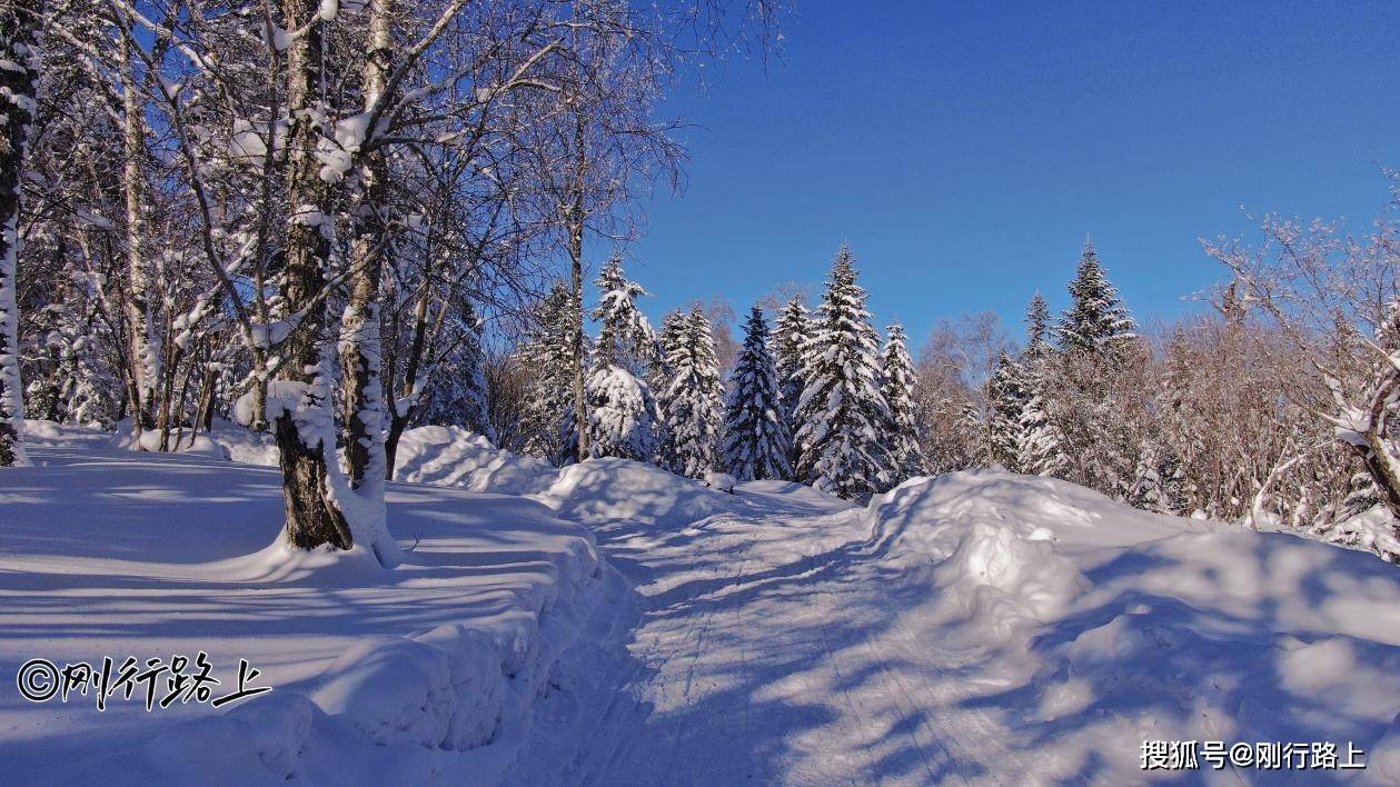 雪乡|中国东北冬天最美公路，亚雪公路雾凇长廊打卡