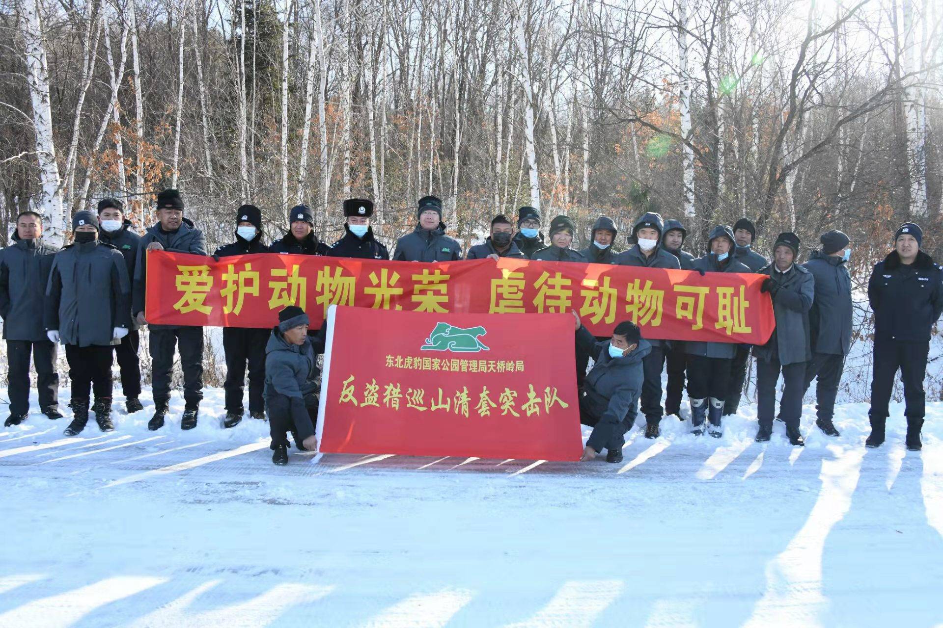 目前,天桥岭林业局和天桥岭森林公安分局持续关注"完达山1号"野生东北