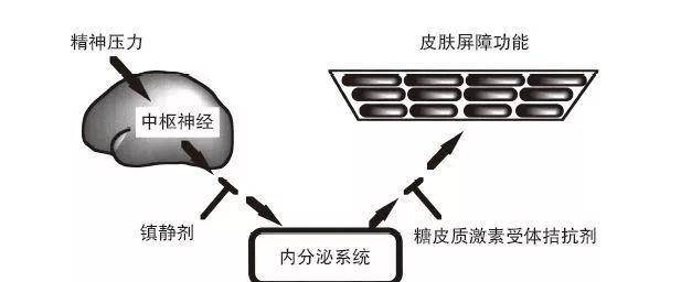 巅峰刘诗诗产后首现身，为啥别人老10岁她却美成颜值巅峰？