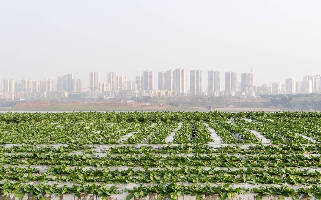 原创重庆有个很接地气的公园，设计理念西部首创，或成又一个网红景点