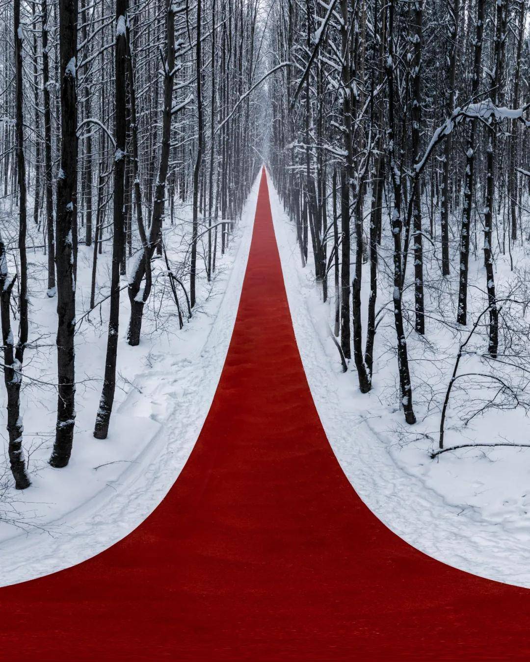 雪地中一抹无限延伸的红nowheregregoryorekhov