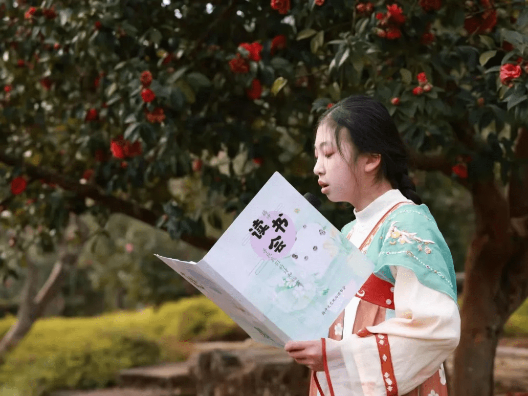 花朵|腾冲来凤茶花园里春色满园