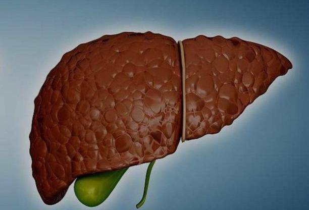 肝脏|肝变硬，头先知？3个现象切莫忽视，养肝护肝：少吃2白，多吃3绿