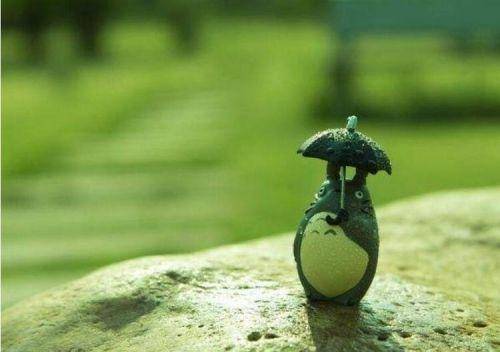 塞翁失马的后一句是啥 5b97e8b384ec4da5a4338506b27c0c36.jpeg