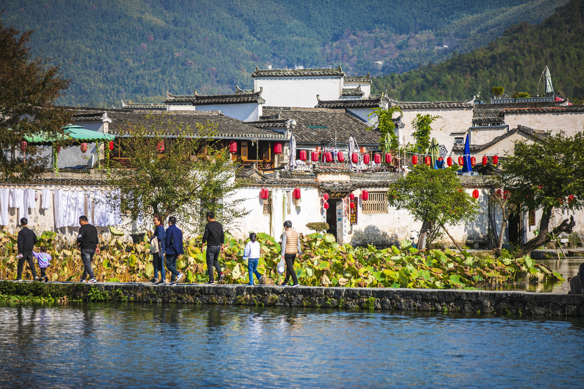 中国|2月最佳旅行地，国内这10个地方春意撩人，肯定有一个是你想去的