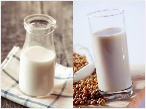 喝豆浆会血糖增高吗 d5995240df6e4ecdbc4b1be832d2dc86.jpeg