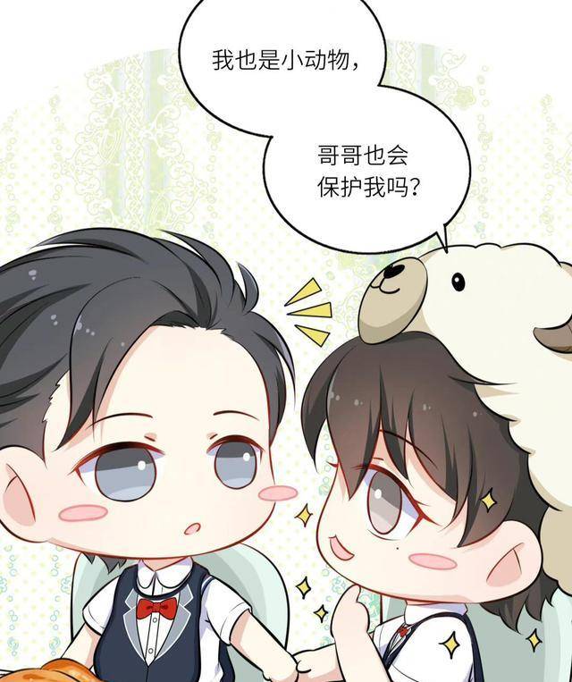 188幼儿园,邵群养小鸡崽,黎叔叔安慰程秀,大鹅领域意识太强_黎朔