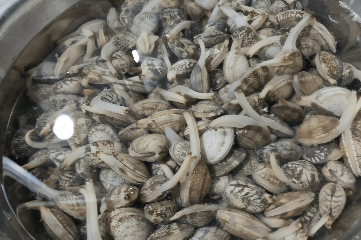 清洗花甲加油加醋都不对老渔民教你一招吐沙又快又彻底