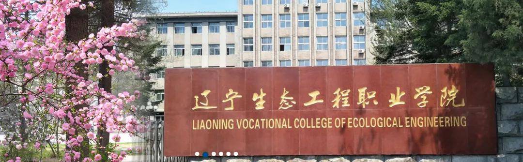 辽宁生态工程职业学院-中软国际定制专业招生_服务_业务_技术