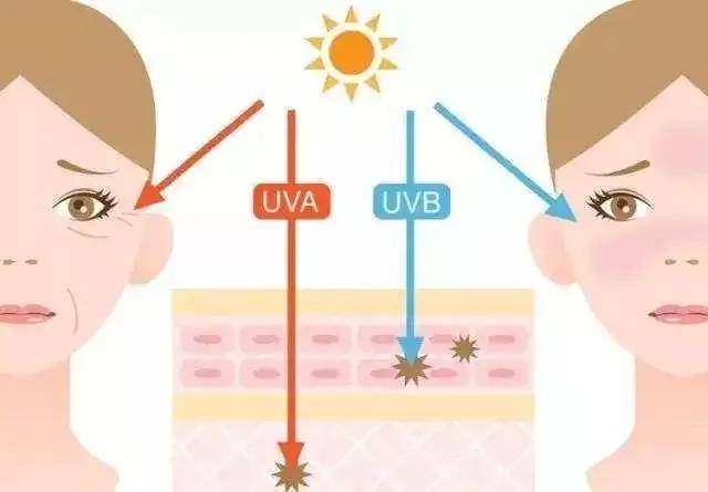 时间冬季也需要防晒吗？如何正确的防晒呢？