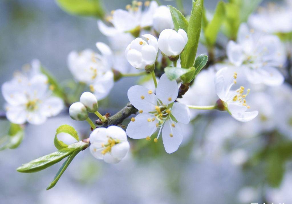 2月22日 26日爱情运势 喜逢良人 情定三生的四大星座 单未来 问题 感情交流