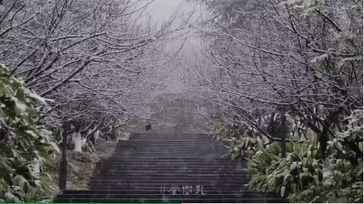 美得|花溪的绝美雪景，让您“醉”在如梦如幻的“人间仙境”里