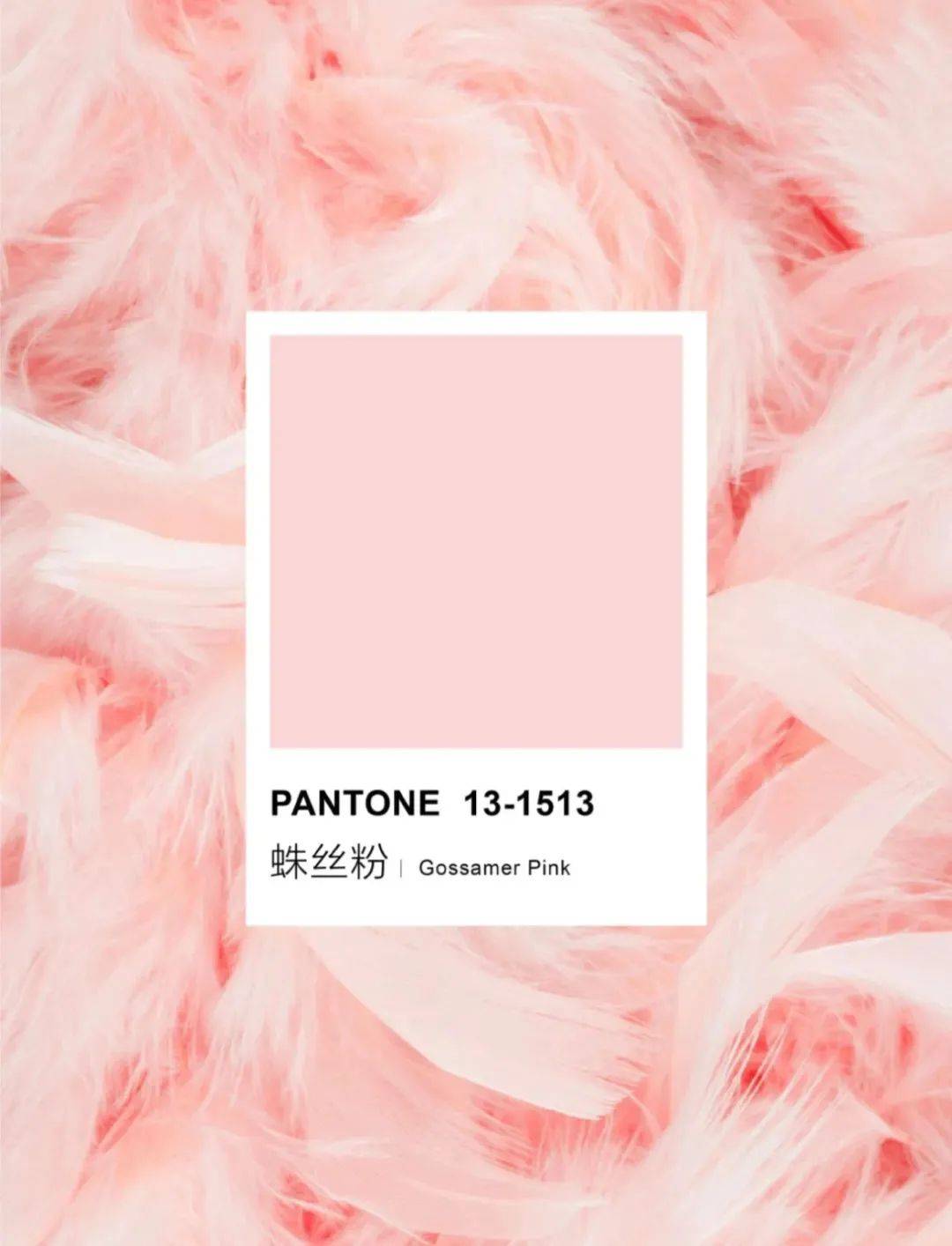 Pantone 2022春夏最IN十大流行色，美炸了！