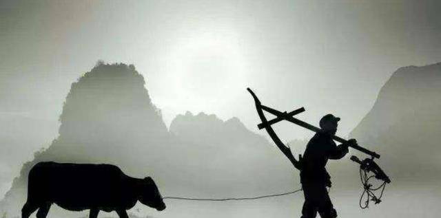 女人梦见活着的亲人死了，一场心灵的深度解读