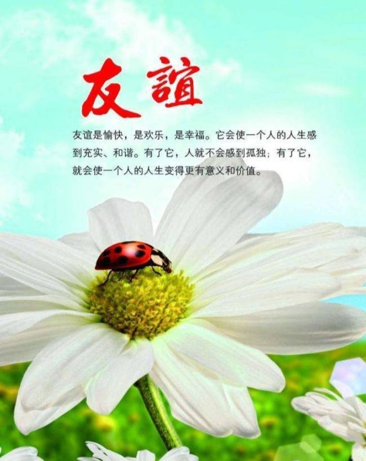 朋友牵挂的语言和图片图片