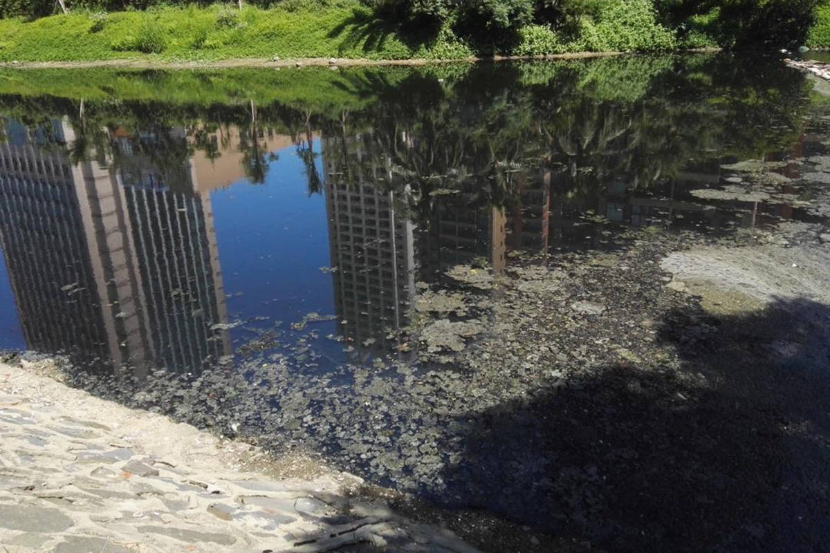 一号文件聚焦的农村黑臭水体治理正加快推进