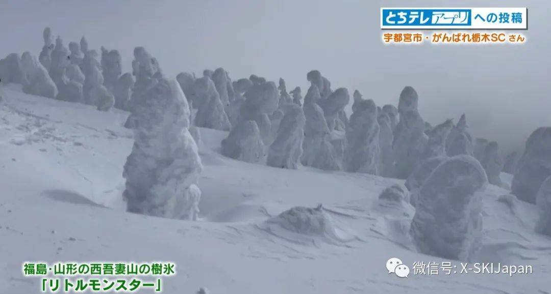 日本暴雪致滑雪圈事故多发!谈球吧体育 多名雪友丧命滑雪途中(图5)