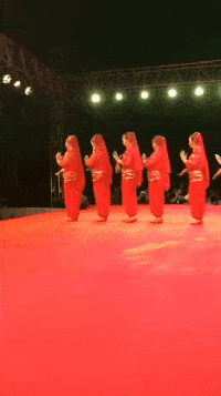 一溜儿|搞笑gif:死后最有尊严的一只鸡