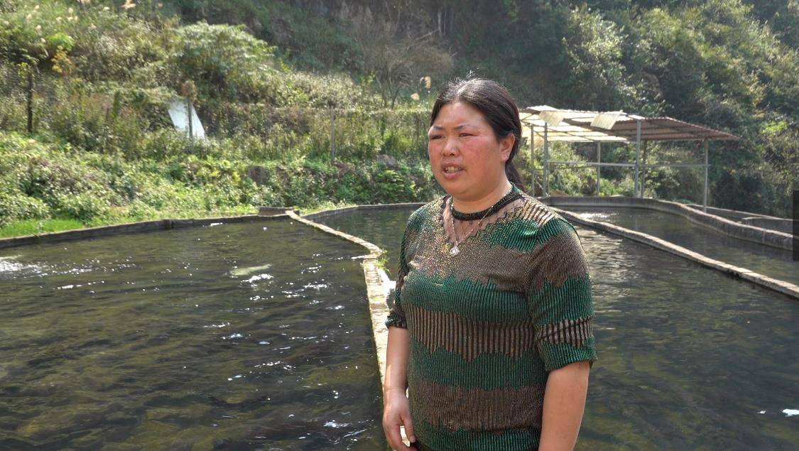 地方|贵州70后大姐隐居深山10年，靠养鱼为生年入100万，赛过活神仙