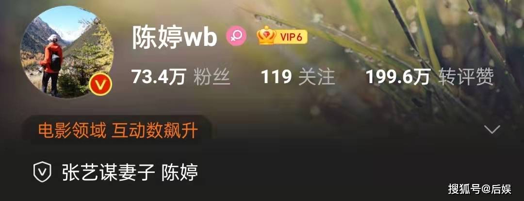 原创张艺谋妻子陈婷举动有些反常疑似有婚变网友陈婷没问题