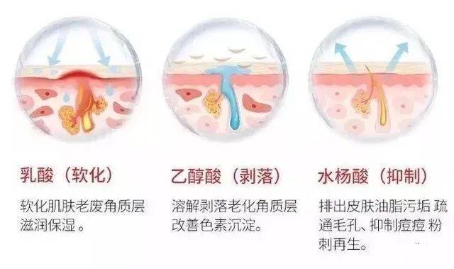 毛周她鼻背两旁的小疙瘩，到底是啥？