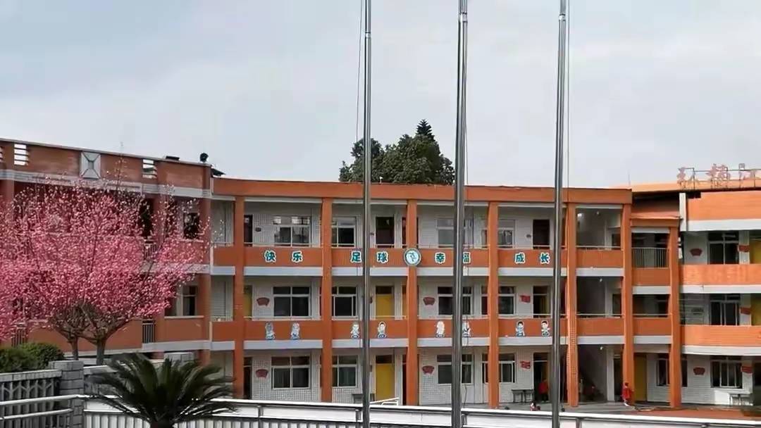 江姐小学红梅花正开