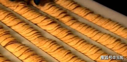 食品|看完薯片加工过程,才知道薯片竟不是土豆做的,网友:被骗20年