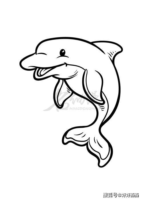 白海豚简笔画图片