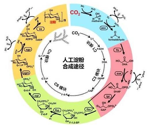 中国|中国空间站、天问一号……2021年度中国科学十大进展发布