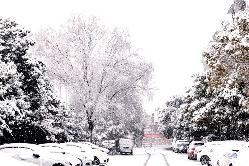 整屋供暖,智能恒温,西狄亚C16欧洲原装进口电暖器开箱体验