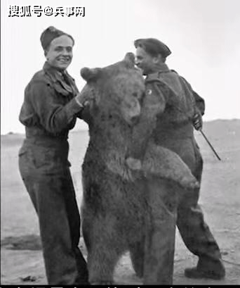 二战熊战士沃铁图片图片