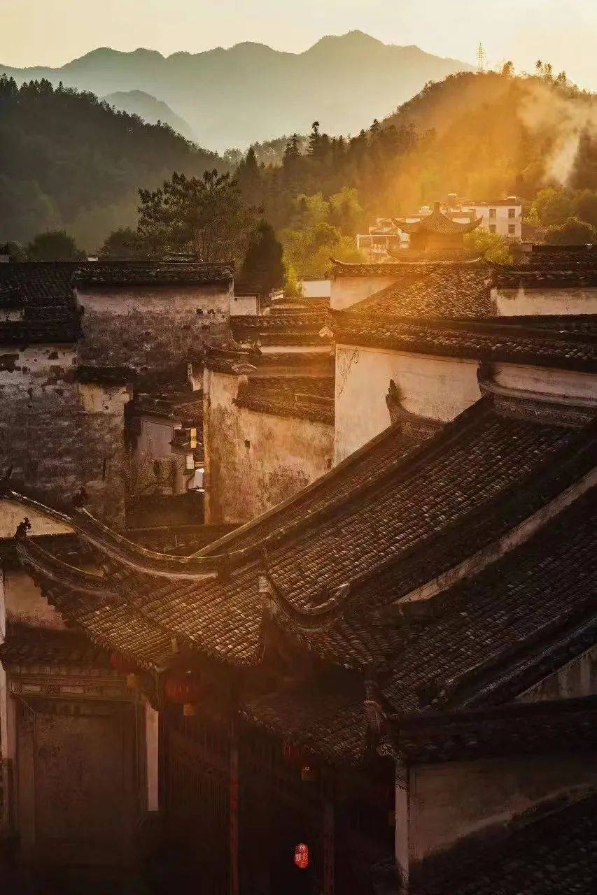 山野的味道问政山笋煲美味正当时