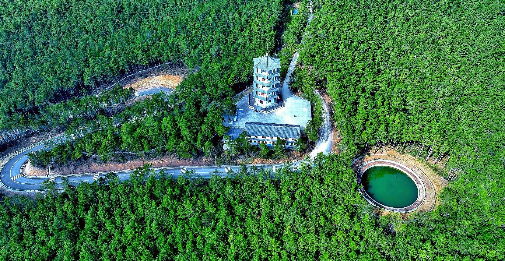 原創二月再見三月你好元元在四川廣元黑石坡森林公園迎春天