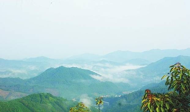 江西赣州信丰县四个值得一去的旅游景点,喜欢的不要错过了_山寺_森林