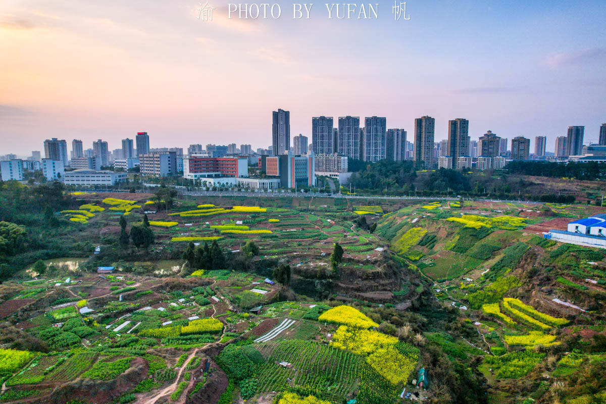 夕阳|重庆有座被菜花装扮的小城，不出城便能看到美景，窗外遍地流金