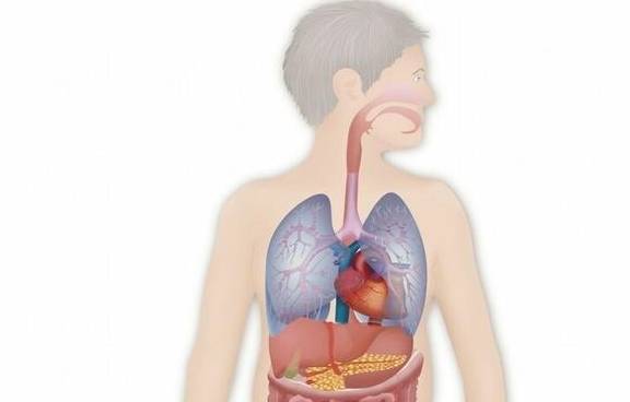 肾脏|男子腰痛，以为腰椎间盘突出，突然呕血后医生连下3张病危通知书