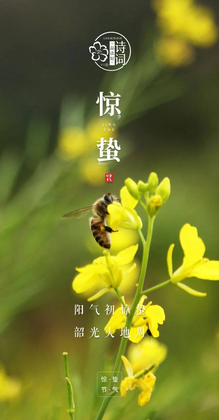 美文美图惊蛰始雷桃花渐盛关于惊蛰的诗词惊艳一世芳华