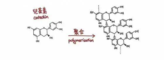 物质|如何品鉴一款葡萄酒，才是正确打开方式