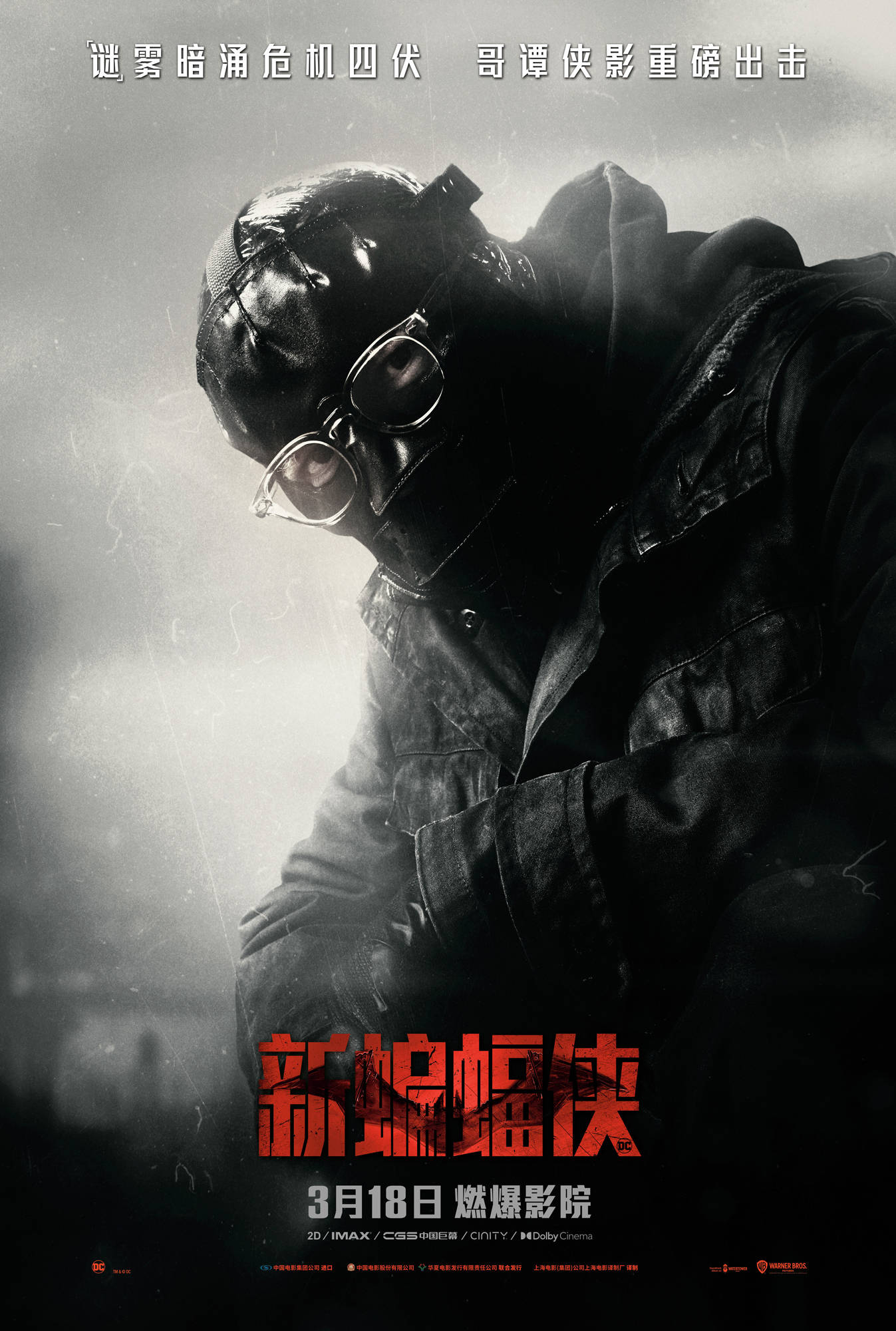 角色|《新蝙蝠侠》发布角色海报及特辑