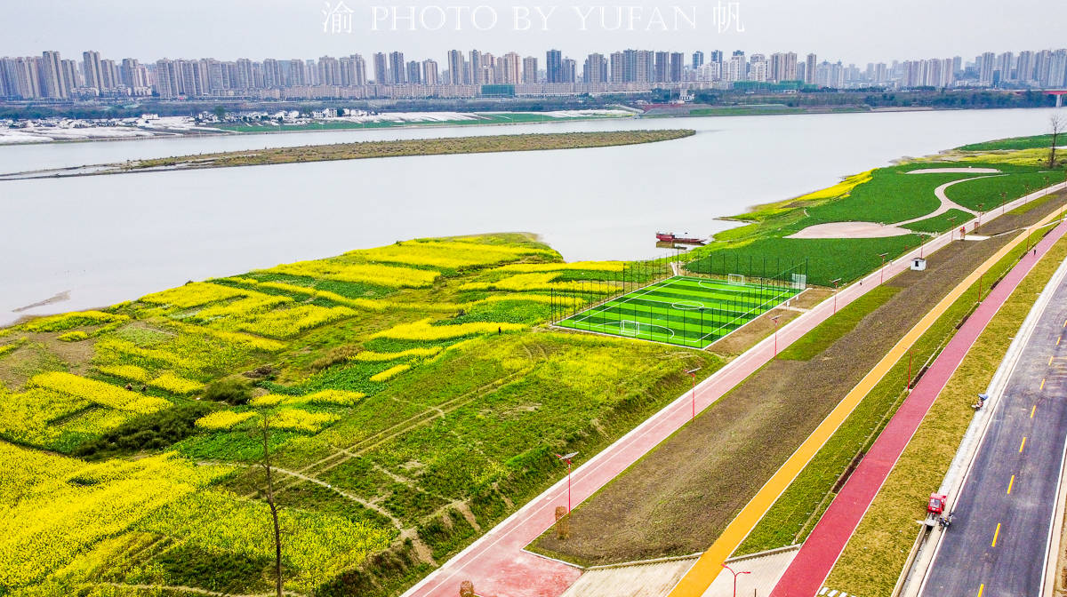 潼南|中国最美的城市油菜花海，花已开好遍地流金，免费开放，就在重庆